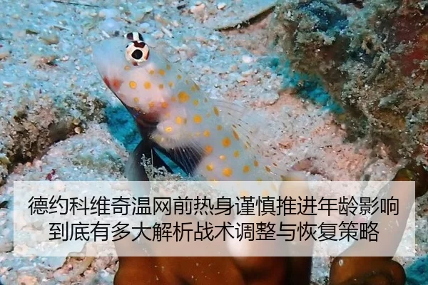 de-yue-ke-wei-qi-wen-wang-qian-re-shen-jin-shen-tui-jin-nian-ling-ying-xiang-dao-di-you-duo-da-jie-xi-zhan-shu-tiao-2-339.jpg